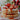 Strawberry Shortcake Pancakes & Whipped Cream