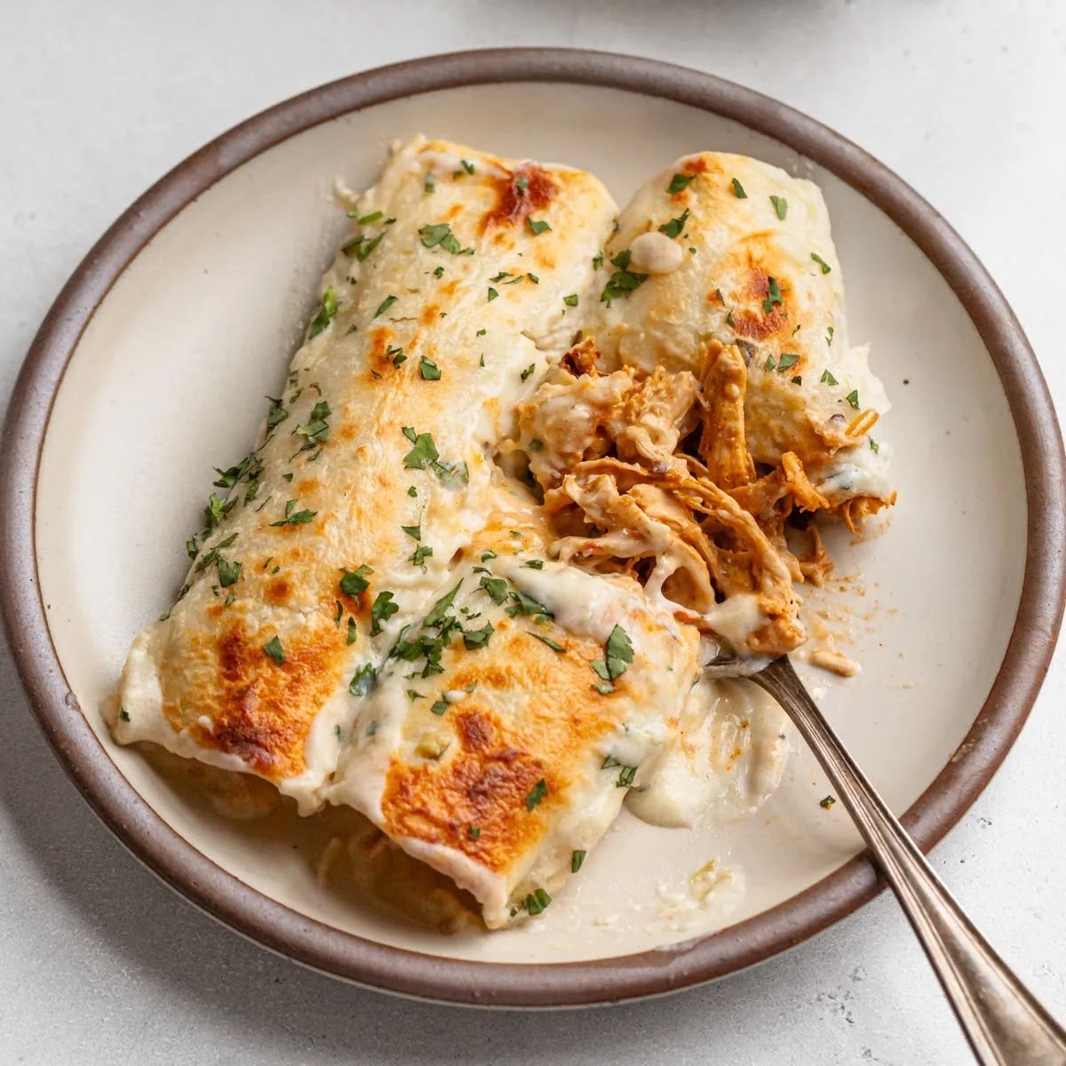Shredded Chicken Enchiladas with Cheesy Sour Cream Sauce