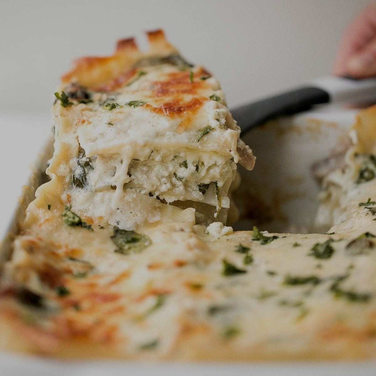 Creamy White Chicken and Spinach Lasagna (Delivered: December 7)