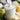 Ranch Dressing